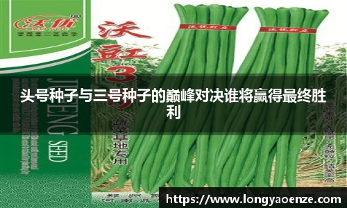 头号种子与三号种子的巅峰对决谁将赢得最终胜利